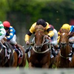 Action of a bunch of race horses during a race head-on.