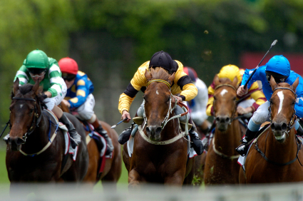 Action of a bunch of race horses during a race head-on.
